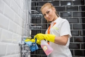 domestic-cleaning-services-pic1