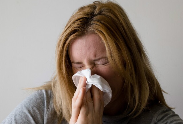 allergens indoors